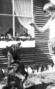 STIHUSVEJ 7, SMUT - LYSTRUP STRAND, godbid til Nalle fra Ella Jacobsen 1956. Nalle er kioskejer Hvids hund. STIHUSVEJ 7, SMUT - LYSTRUP STRAND, godbid til Nalle fra Ella Jacobsen 1956. Nalle er kioskejer Hvids hund.